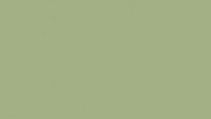 Tarkett Etrusco Olive