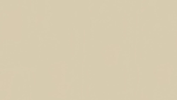 Tarkett LinoWall Cotton 1