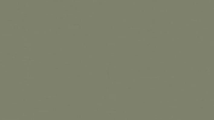 Tarkett LinoWall Crocodile