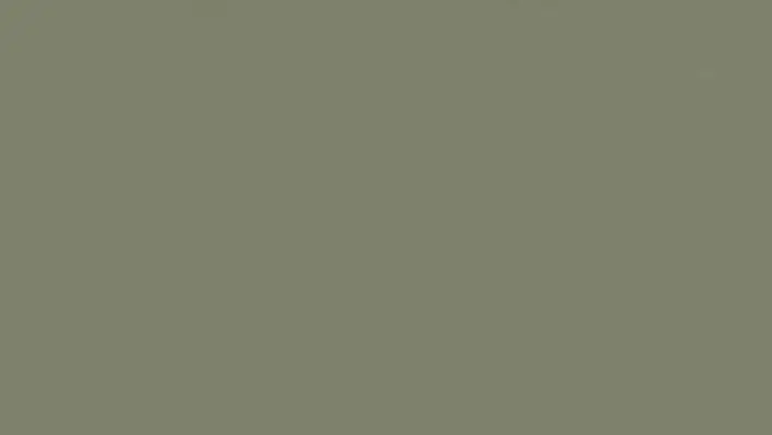 Tarkett LinoWall Crocodile