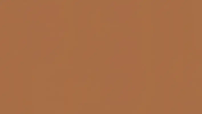 Tarkett LinoWall Ginger