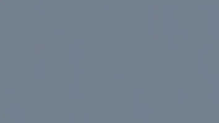 Tarkett LinoWall Denim