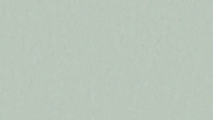 Style Emme xf² Carolina