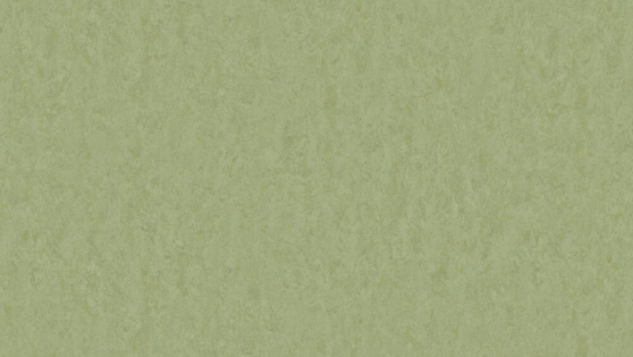 Style Emme xf² Pears