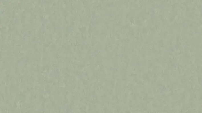 Style Emme xf² Pistage