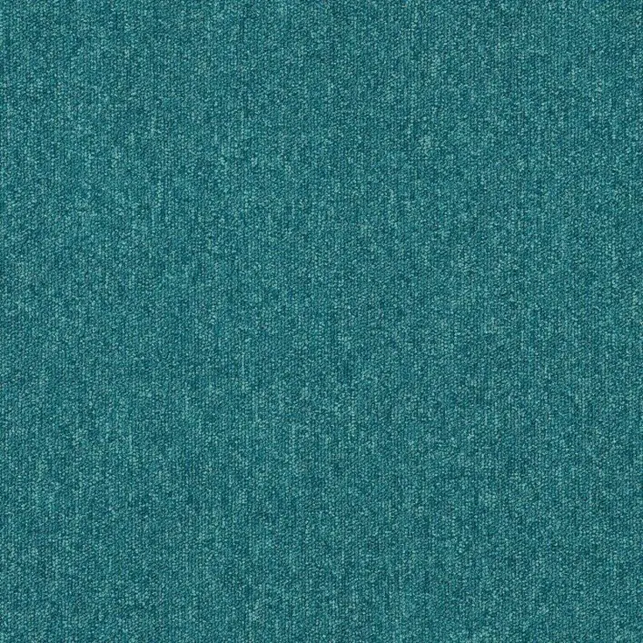 Reef