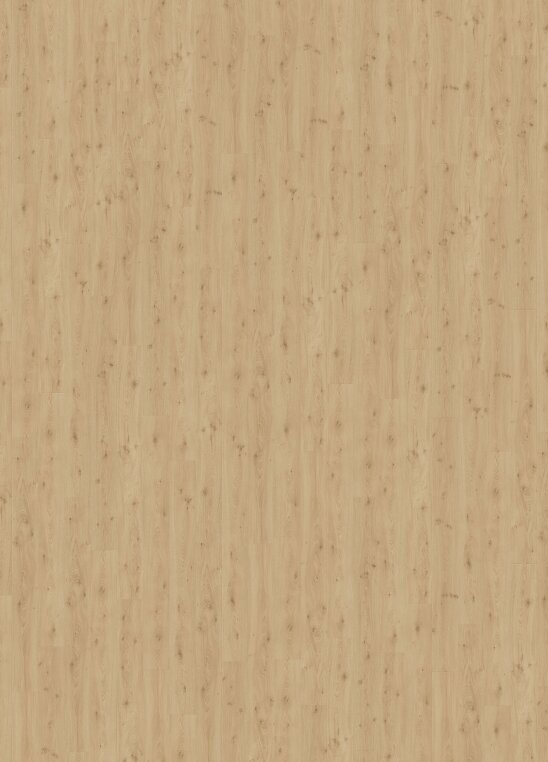 Pergo Trondheim - Spring Oak