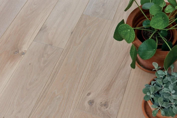 Panaget Fransk ek plankgolv - Diva 184 Zenitude Tufeau