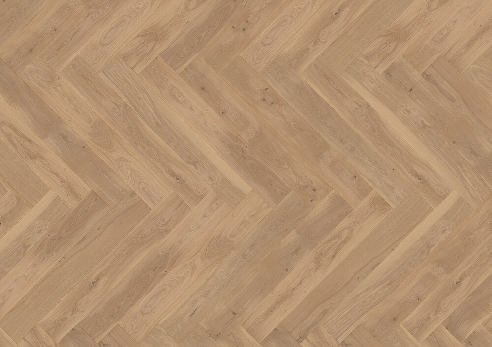 Fiskbenskollektion, Ek Ameland