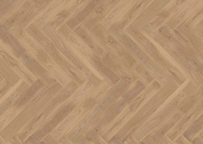 Sillbenskollektion, Ek Vlieland