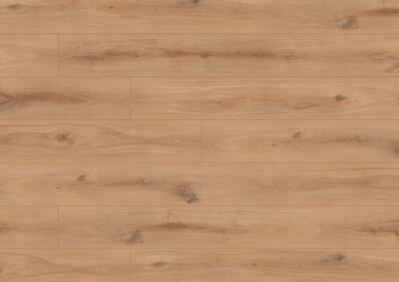 Ter Hürne, Classic Edition, Ek Djerba, Planka