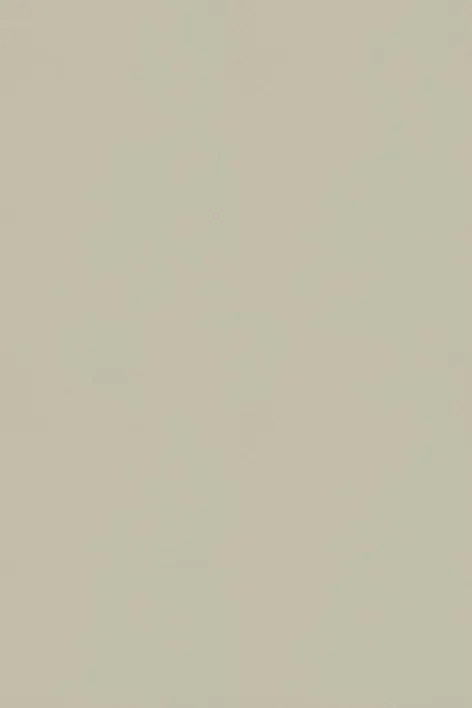 181472 White Moss