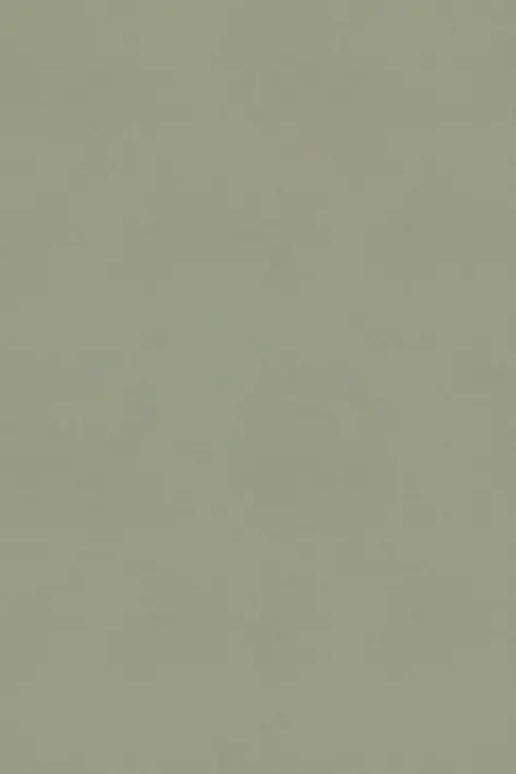181742 Sage