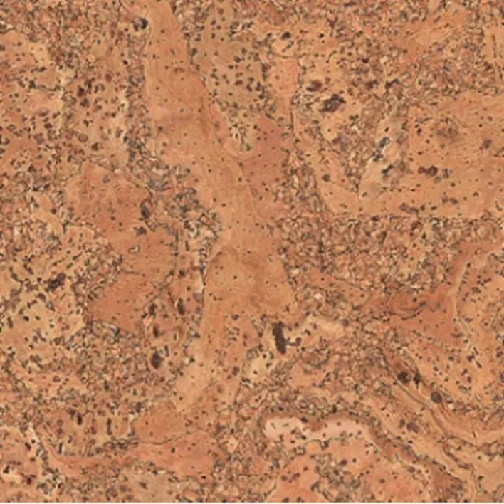 Ziro Kork Plus Korkgolv - Salsa Natur