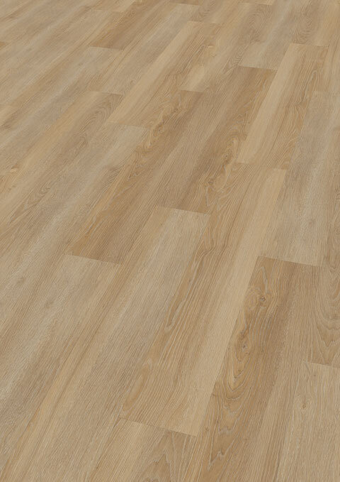 Ter Hürne, HDF - Friends Oak Ella, bred planka