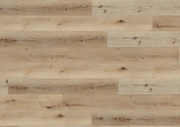 Ter Hürne, Rigid - Friends Oak Carl, planka