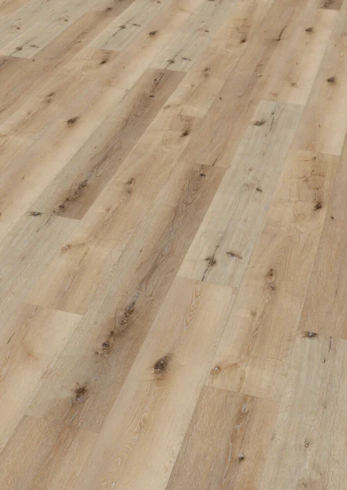 Ter Hürne, Rigid - Friends Oak Carl, planka