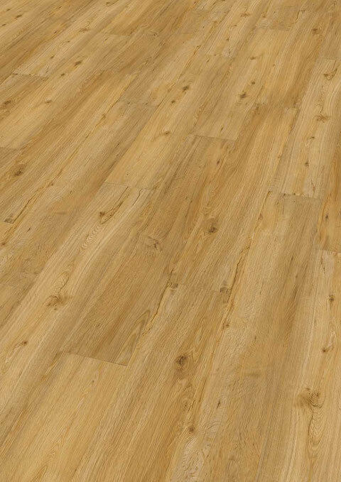 Ter Hürne, Rigid - Friends Oak Conny, planka