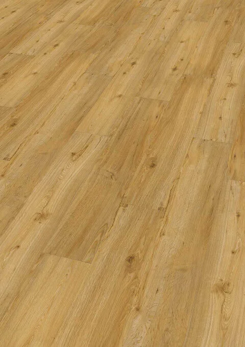 Ter Hürne, Rigid - Friends Oak Conny, planka