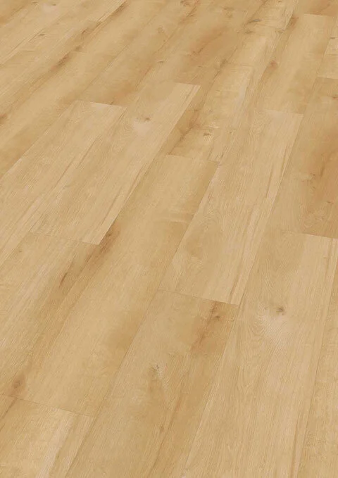 Ter Hürne, Rigid - Friends Oak Paul, planka