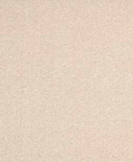 Dynasty - Off-white 60