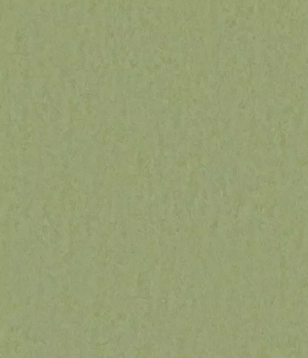 Ziro Lino-Click linoleumplatta - Sedano