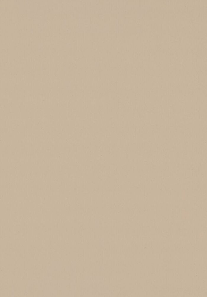 Bordlinoleum - Forbo Furniture Desktop Macadamia