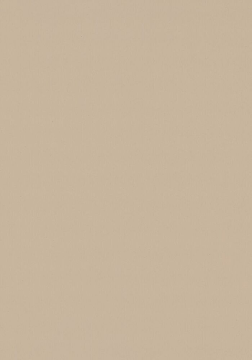 Bordlinoleum - Forbo Furniture Desktop Macadamia