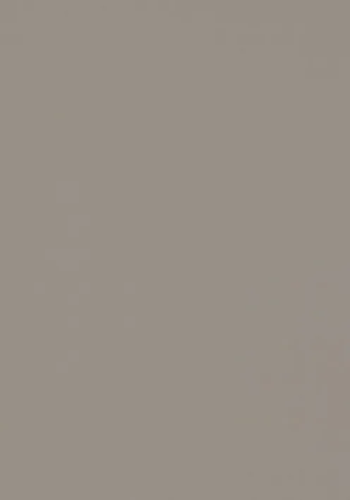 Bordlinoleum - Forbo Furniture Desktop Taupe