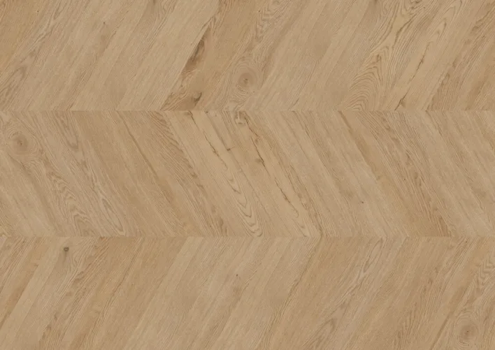 Chevron Edition Perform, Ek Dublin