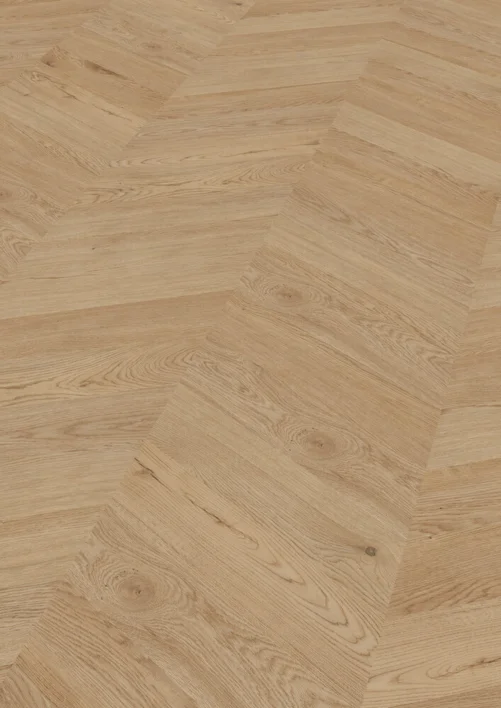 Chevron Edition Perform, Ek Dublin