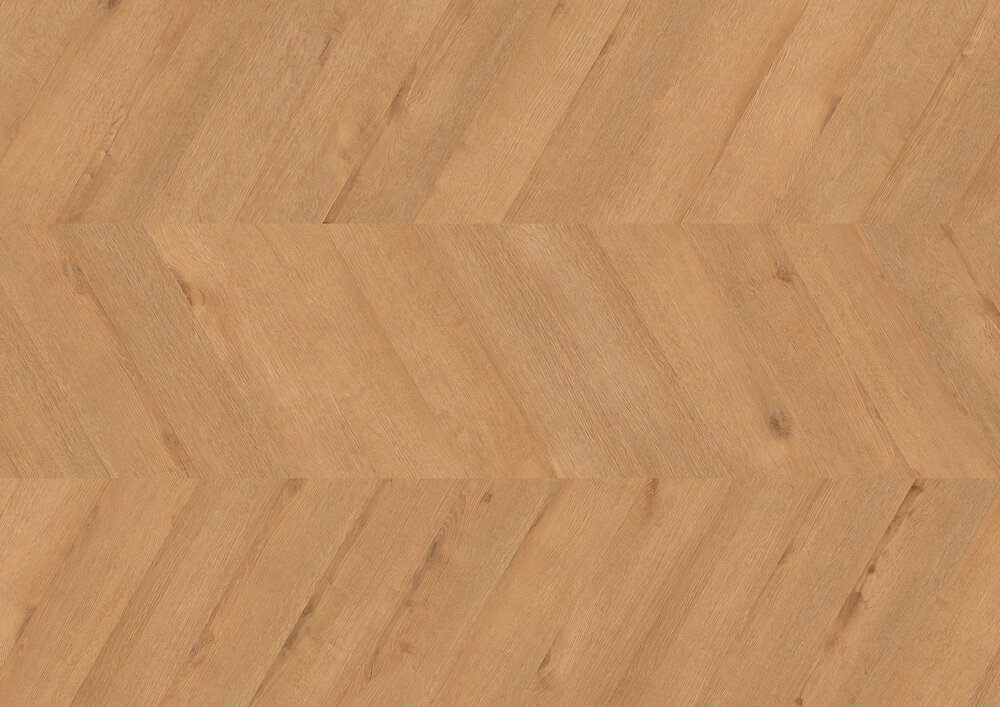 Chevron Edition Perform, Oak Rotterdam