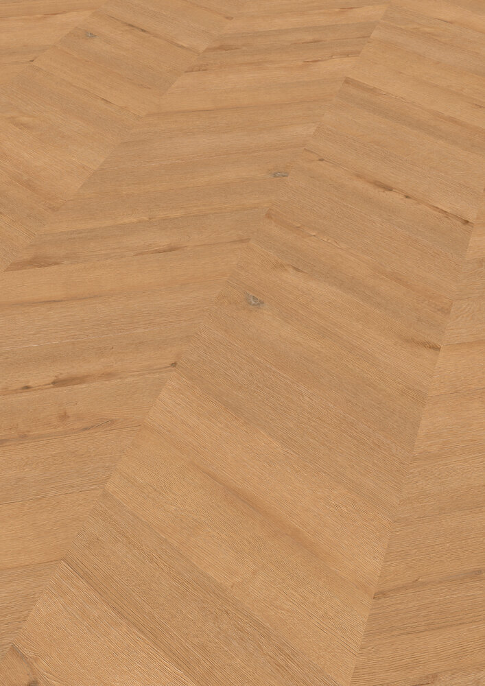 Chevron Edition Perform, Oak Rotterdam