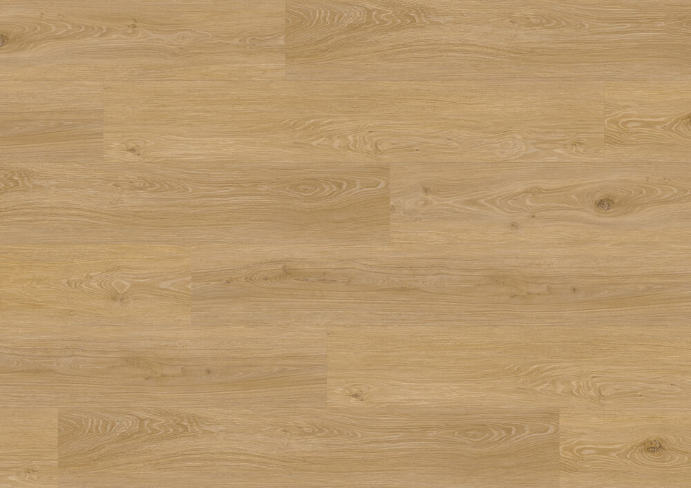 Ter Hürne, Wood Edition Pro, Oak Den Haag, lång planka