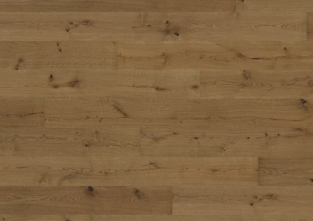 Moods of Provence, Oak La Torse