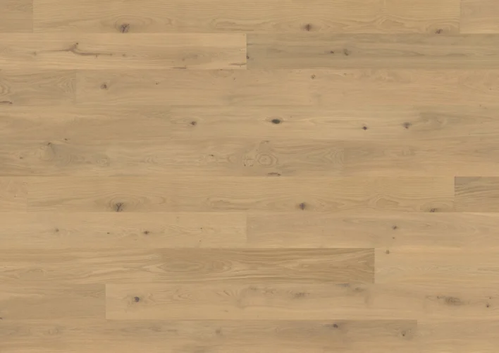 Moods of Provence, Ek Menton