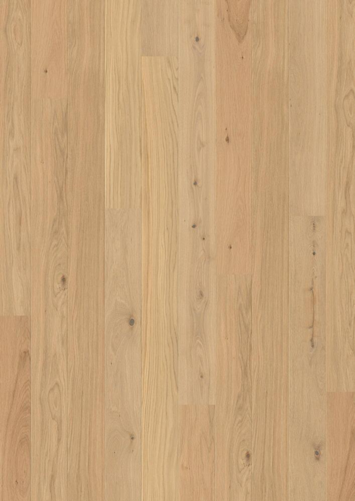 BOEN Ek Animoso, Plank