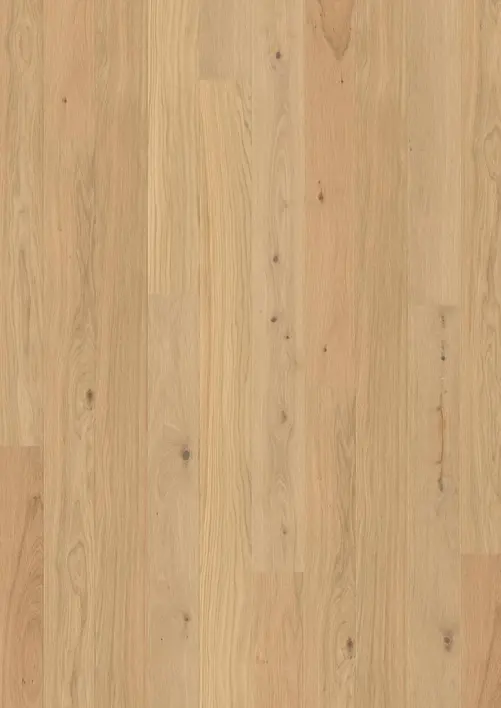 BOEN Ek Animoso, Plank