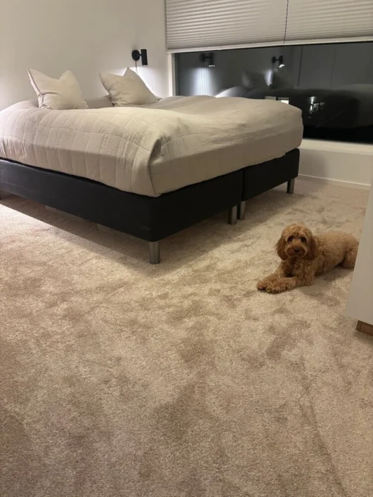 Billiga mattplattor - Ambassador Beige