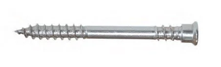 Expandet Rostfri Terrassskruv 5,5x60 mm.