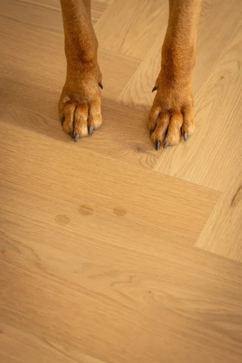 Moland Super Eg Wideplank - Avon Natural Oak