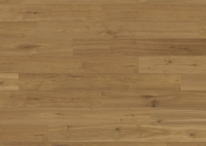 Hywood Classic, Oak Yosemite