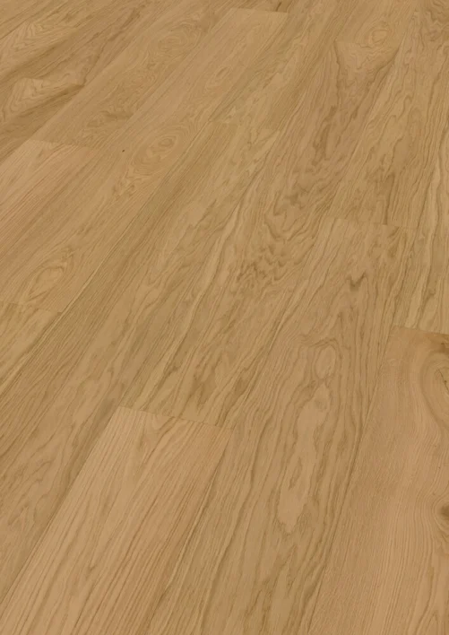 Hywood Classic, Oak Capitol Reef