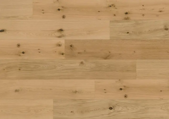 Hywood Classic, Ek Caledonian Forest