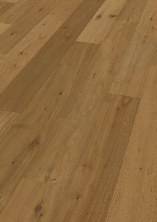 Hywood Classic, Oak Beverein