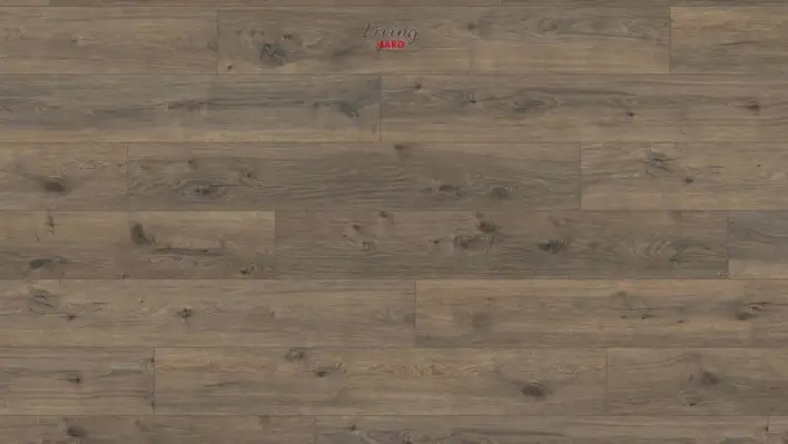 Haro laminatgulv Plank - Eg Sarinia - RESTPARTI