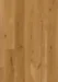 BOEN Ek Animoso, Plank