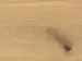Haro plankegolv - Ek invisible Sauvage borstad nL+