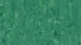 2337 Green forest