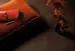 BOEN Ek Brazilian Live Pure, Plank